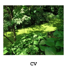 cv