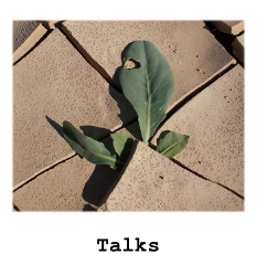 talks